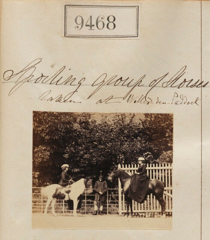 'Sporting group of horses taken at Willesden Paddock' (three unknown sitters) NPG Ax59275