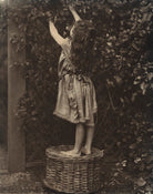 Silvia Constance Myers NPG Ax36335