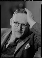 William Vaughan Wilkins NPG x93352