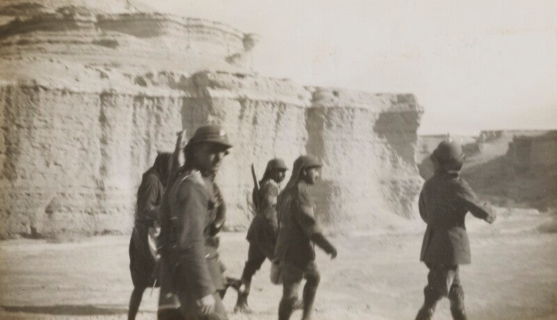 The lisan peninsula npg ax183306