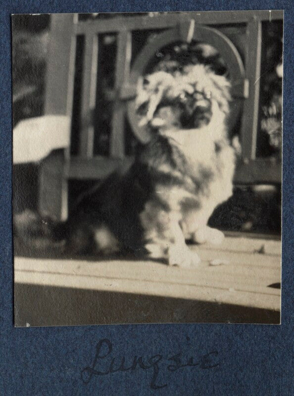 'pungsie' npg ax141533