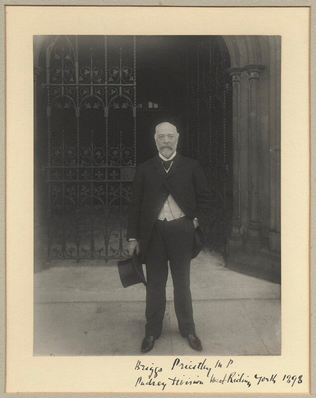 Briggs priestley npg x34706