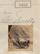 Horse of Mr Conolly NPG Ax59299