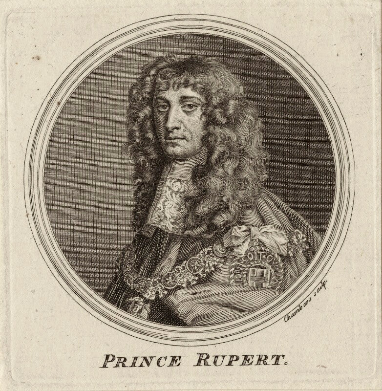 Prince rupert, count palatine npg d26475