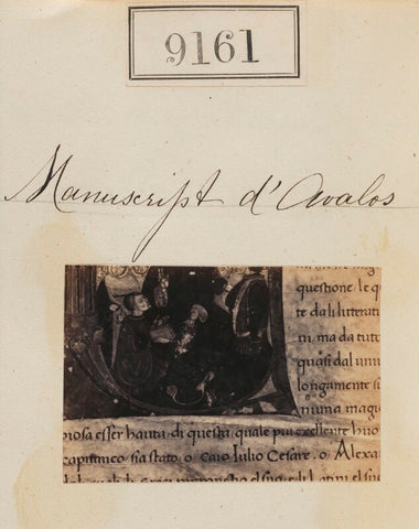 'Detail from Manuscript d'Avalos' NPG Ax58983