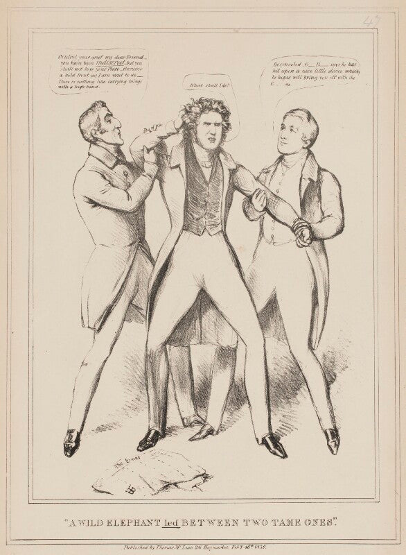 A wild elephant led between two tame ones npg d40982