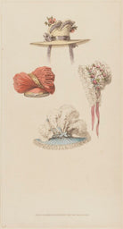 Head-dresses, October 1825 NPG D47578