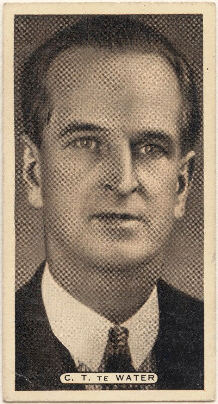 Charles theodore te water npg d49132