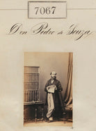 Don Pedro de Souza NPG Ax56983