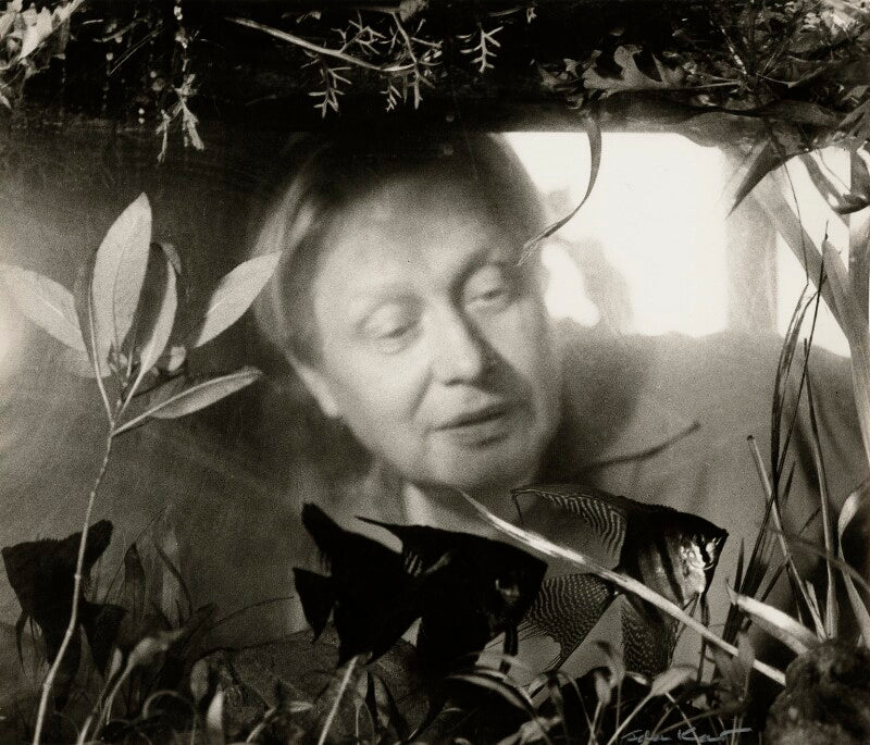 Sergey vladimirovich obraztsov npg x132620