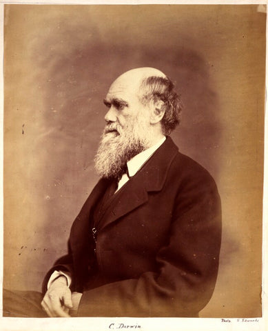 Charles Darwin NPG x1500