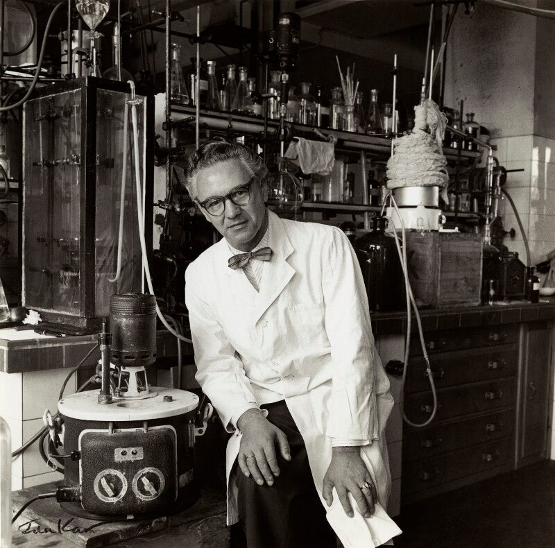 Professor leibnitz npg x132558