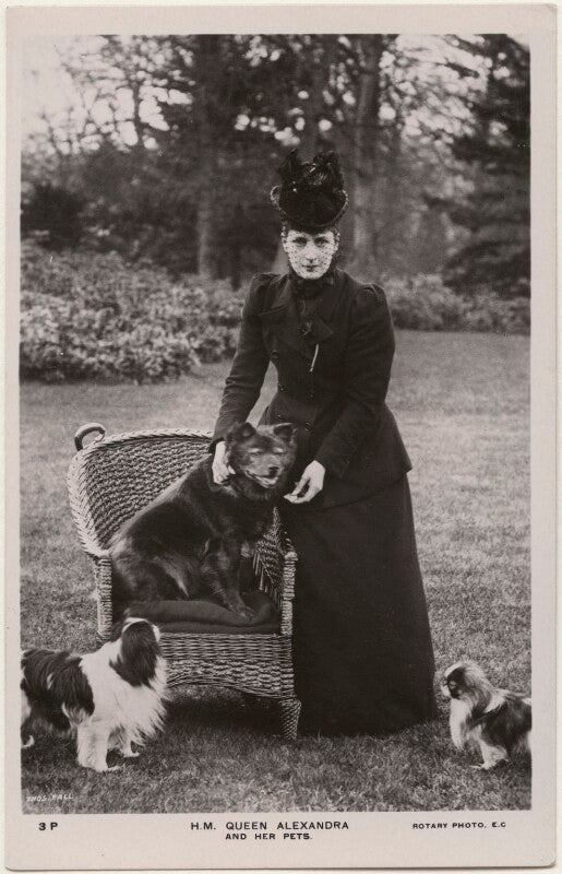 'h.m. queen alexandra and her pets' (queen alexandra) npg x196863