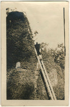 Dora Carrington NPG x13074