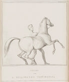 Design for a Wellington Testimonial (Arthur Wellesley, 1st Duke of Wellington) NPG D41539