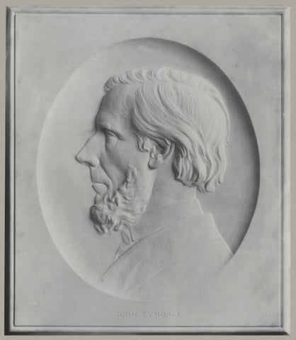 John Tyndall NPG D39603