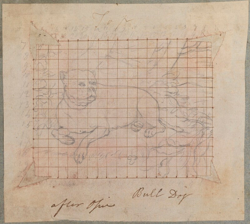 Bulldog npg d17780