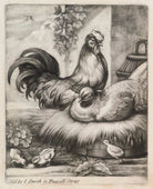 Cock, hen and chicks NPG D11828