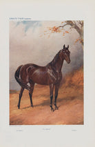 Famous Racehorses. No. 8. 'St. Simon.' NPG D45519