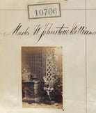 Master William Johnstone Williams NPG Ax60417