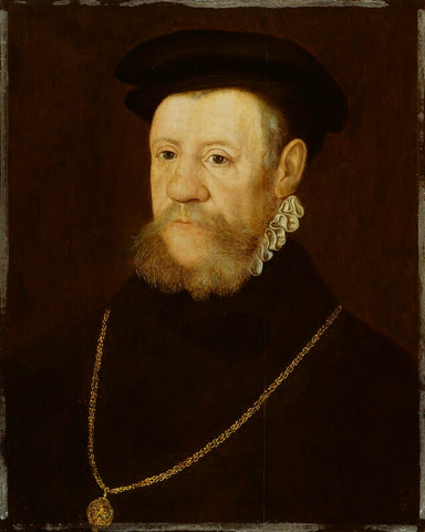 Henry Fitzalan, 12th Earl of Arundel NPG 4693
