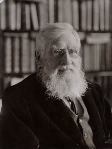 Alfred Russel Wallace NPG x5124