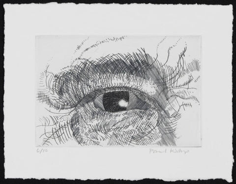 Engraving of an eye NPG D49610