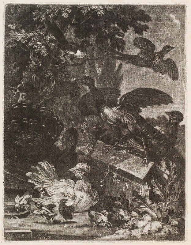 Birdpiece with turkey, peacock and other birds npg d11771