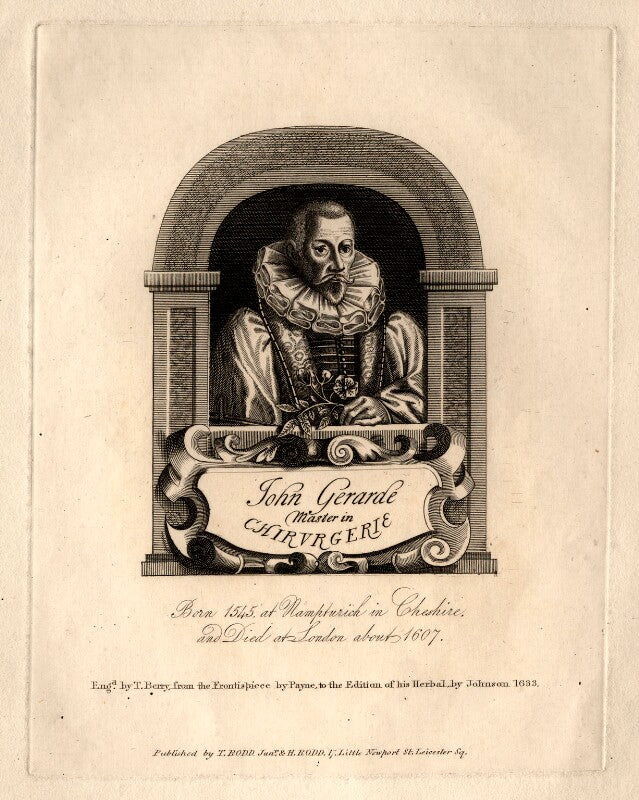 John gerard npg d12267