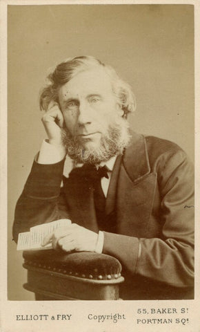 John Tyndall NPG x13245