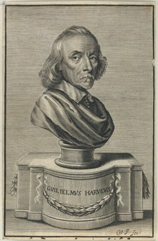 William harvey npg d22768