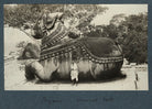 Nandi Bull, Mysore NPG Ax143835