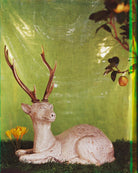 Stag Groups NPG x222010