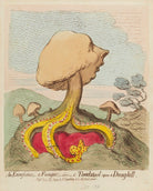 William Pitt ('An excrescence; - a fungus; - alias - a toad-stool upon a dung-hill') NPG D12435