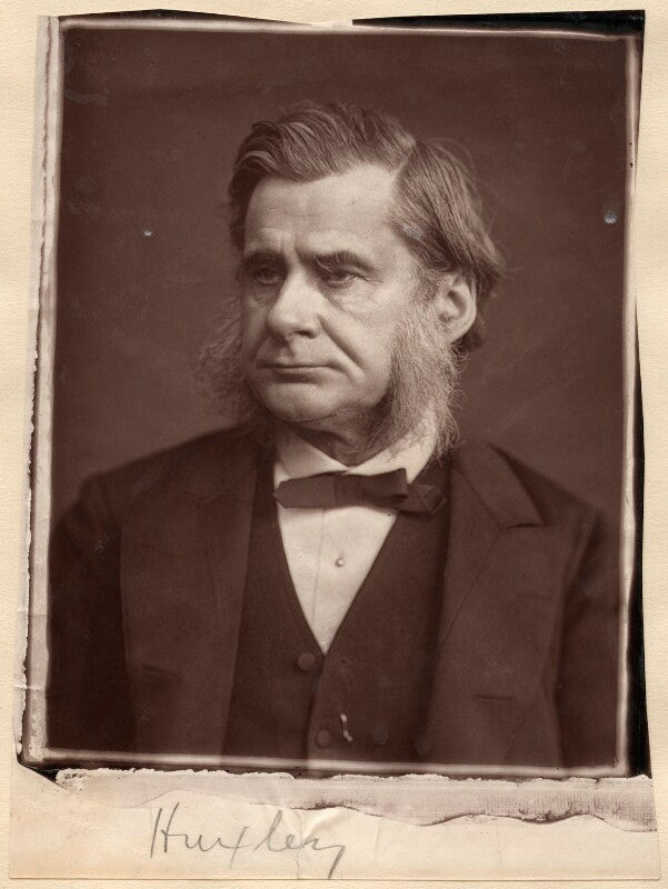 Thomas henry huxley npg x11997