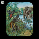 Elephant Protecting her Young (relates to David Livingstone) NPG D18403