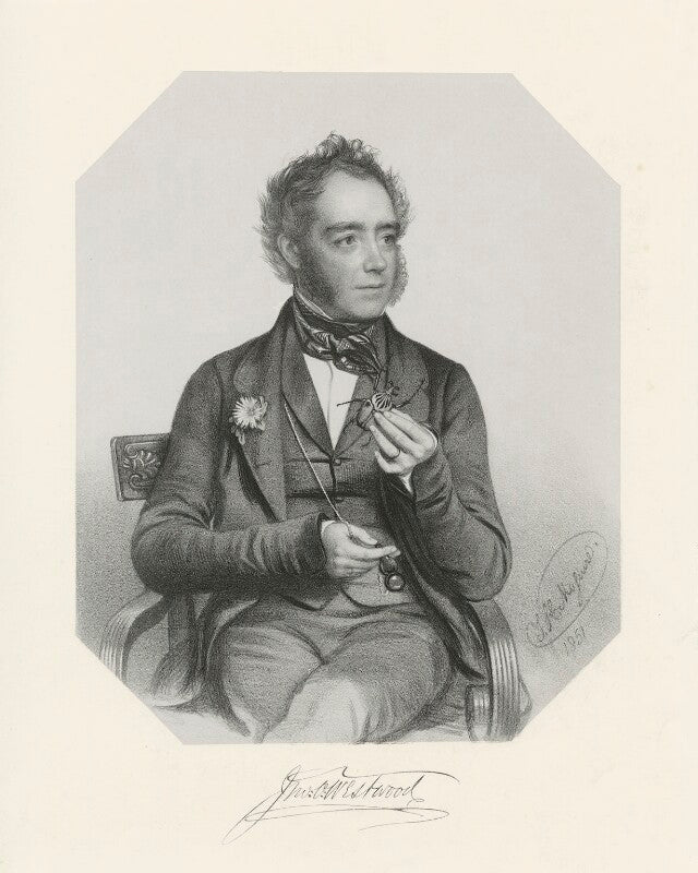 John obadiah westwood npg d37838