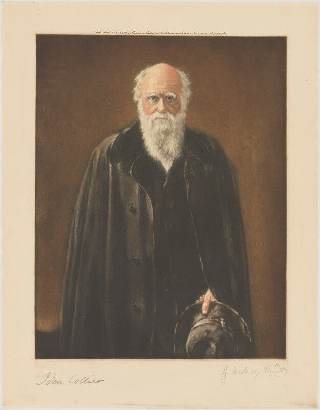 Charles darwin npg d49370