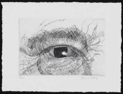 Engraving of an eye NPG D49607