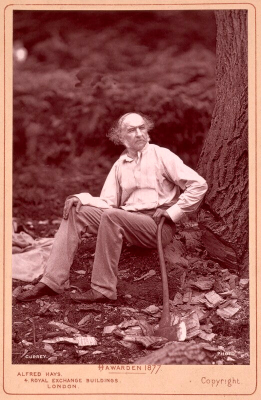 William ewart gladstone npg x12503