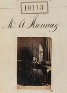 Mrs A. Hannay NPG Ax59828