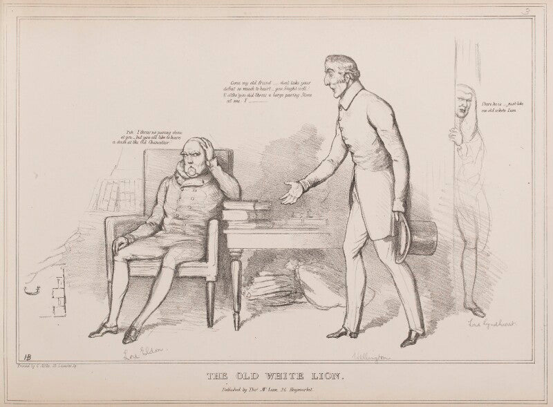 The old white lion npg d40938