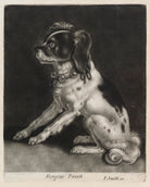 Dog Sitting NPG D11884