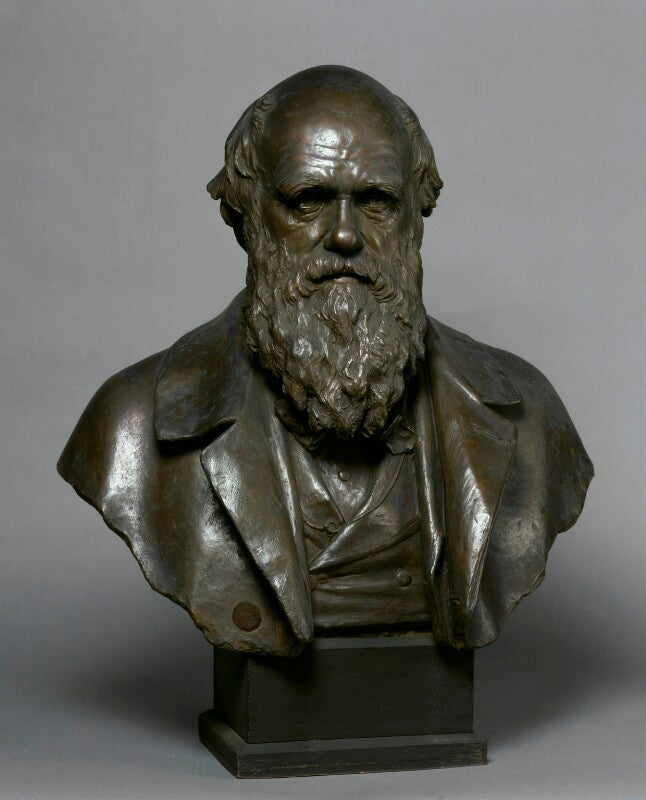 Charles darwin npg 1395