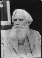 Henry Havelock Ellis NPG x11567