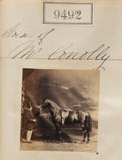 Horse of Mr Conolly NPG Ax59300