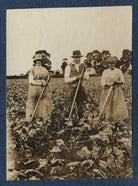 Clive Bell and two farm workers NPG Ax140518