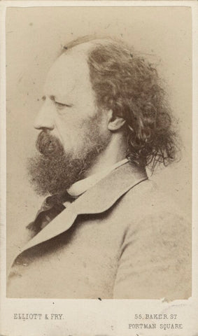 Alfred, Lord Tennyson NPG Ax30390