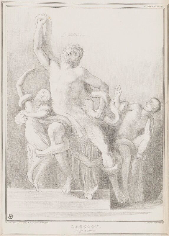 Laocoon npg d41460