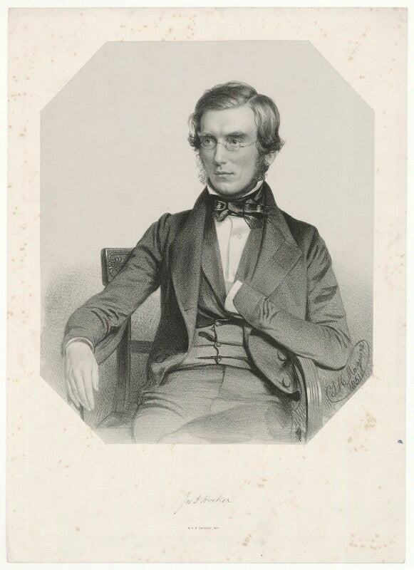 Sir joseph dalton hooker npg d35962